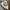 ZARA Casual Sweatpants & Joggers Kids white photo 2