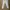 ZARA Casual Sweatpants & Joggers Kids white photo 5
