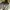 Gozeal Y2K Casual Hoody Pria gray photo 1
