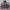 Kappa Sportswear Windbreaker Pria white photo 1