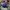 Zoo York Casual Hat Pria blue photo 4