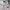 Streetwear Sportswear Windbreaker Pria white photo 5