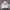 Streetwear Sportswear Windbreaker Pria white photo 3