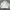 Streetwear Sportswear Windbreaker Pria White