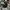 Marvel Casual Hat Pria black photo 1
