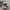 LMC Streetwear Sportswear Hat Pria gray photo 3