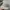 LMC Streetwear Sportswear Hat Pria gray photo 6