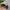 LMC Streetwear Sportswear Hat Pria gray photo 4