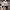 Brixton Casual Hat Pria gray photo 3