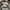 Brixton Casual Hat Pria gray photo 1