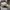 Brixton Casual Hat Pria gray photo 4