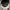 Brixton Casual Hat Pria gray photo 5