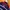 Vintage Streetwear Sweatshirt Pria navy red photo 5