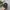 Nike Sportswear Casual Hat Pria black photo 1