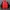 Nike Streetwear Bomber Jacket Pria Red