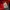 Nike Streetwear Bomber jacket Pria red photo 7