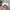 Streetwear Skater Hat Pria white photo 2