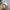 Streetwear Skater Hat Pria white photo 5
