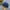 Beanpole Sportswear Casual Hat Pria blue photo 2