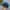 Beanpole Sportswear Casual Hat Pria Blue