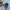 Beanpole Sportswear Casual Hat Pria Blue
