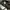 Casual Hat Pria gray photo 6