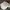 Casual Hat Pria white photo 5
