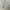 Project M Minimalist Casual Sweater Pria gray photo 5