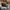 Casual Hat Pria multicolor black photo 4