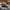 Casual Hat Pria gray photo 4