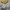 Vintage Sportswear Short Wanita white yellow photo 1