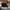 Brixton Casual Hat Pria black photo 4