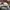 Brixton Casual Hat Pria tan gray photo 2