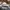 Brixton Casual Hat Pria tan gray photo 4