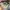 Brixton Casual Hat Pria tan gray photo 5