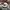 Brixton Casual Hat Pria tan gray photo 1