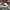 Brixton Casual Hat Pria Tan Gray