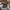 New Era Casual Hat Pria black photo 1