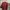 Uniqlo Streetwear T-shirt Pria Burgundy