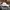 Adidas Casual Hat Pria white photo 4