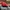 Disney Casual Hat Pria red photo 4