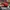 Disney Casual Hat Pria red photo 2