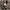Burberry Luxury Harrington jacket Pria tan photo 6