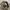 Burberry Luxury Harrington jacket Pria tan photo 2