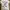 Vintage Casual T-shirt Pria white photo 1