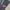 Dickies Streetwear Biker Sweatshirt Pria navy gray photo 2
