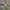 Nike Streetwear Sportswear Sweatshirt Pria multicolor photo 1