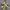 Nike Streetwear Sportswear Sweatshirt Pria Multicolor