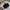 GU Casual Sweatshirt Wanita black photo 1
