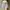 Japanese brand Y2K Emo Ripped jeans Wanita blue photo 1